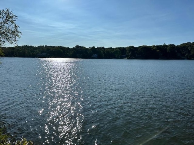 120 Island Rd, Vernon Twp, NJ 07422 - water view with a forest