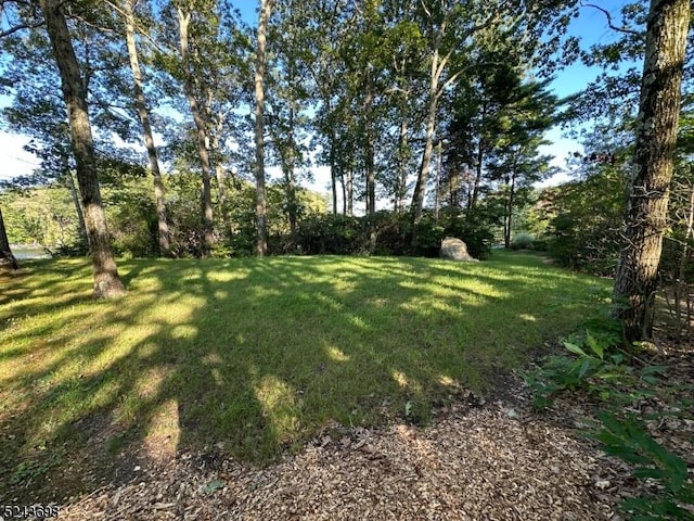 120 Island Rd, Vernon Twp, NJ 07422 - view of grassy yard