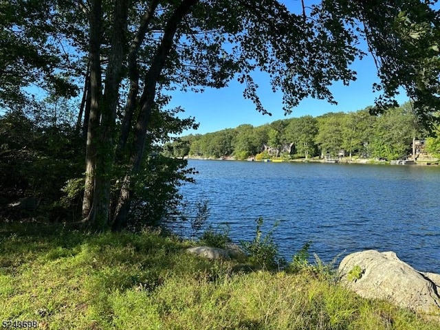 120 Island Rd, Vernon Twp, NJ 07422 - water view featuring a forest