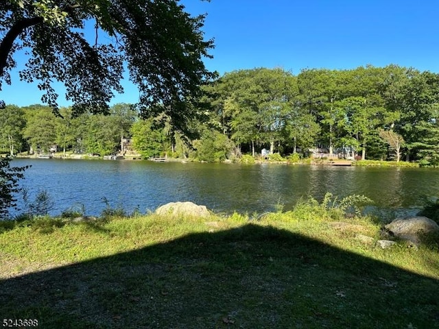 120 Island Rd, Vernon Twp, NJ 07422 - water view featuring a forest