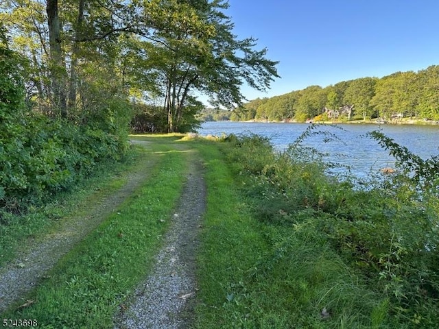 120 Island Rd, Vernon Twp, NJ 07422 - water view with a forest