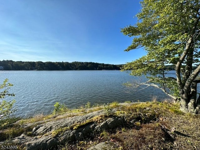 120 Island Rd, Vernon Twp, NJ 07422 - water view