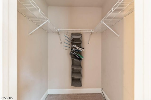 182 Dakota Dr, Andover Twp, NJ 07848 - spacious closet featuring carpet flooring