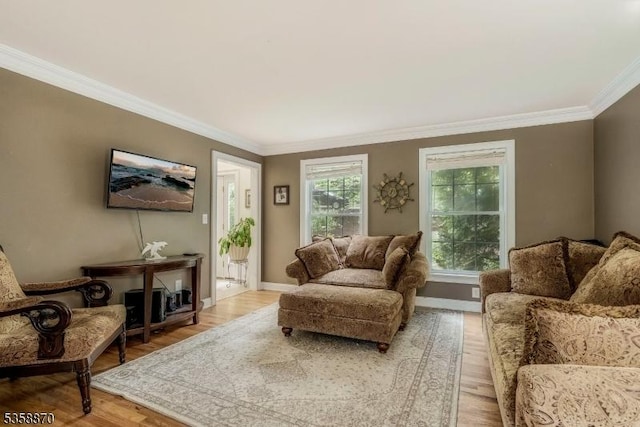 221 Sussex Ave, Andover Twp, NJ 07860 - living room with ornamental molding, baseboards, and light wood-type flooring