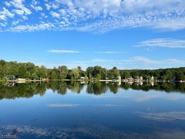 221 Sussex Ave, Andover Twp, NJ 07860 - water view featuring a forest