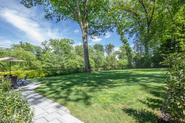 1 Spring Brook Rd, Morris Twp, NJ 07960 - view of yard featuring a patio area