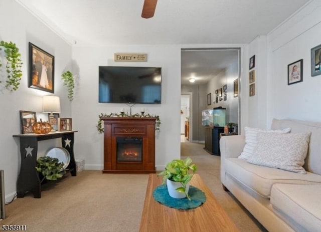 8 Hampton St, Newton Town, NJ 07860 - living area with light colored carpet, a glass covered fireplace, and ceiling fan