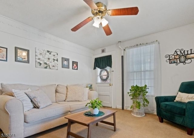 8 Hampton St, Newton Town, NJ 07860 - living room with light carpet and ceiling fan