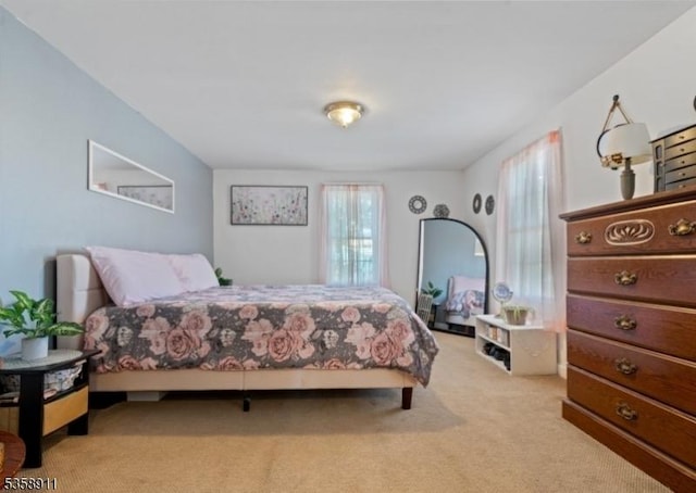 8 Hampton St, Newton Town, NJ 07860 - bedroom featuring light carpet