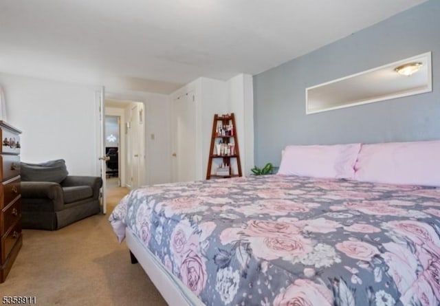 8 Hampton St, Newton Town, NJ 07860 - view of carpeted bedroom