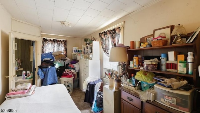 118 S 7th Ave, Manville Boro, NJ 08835 - miscellaneous room with carpet floors and ornamental molding