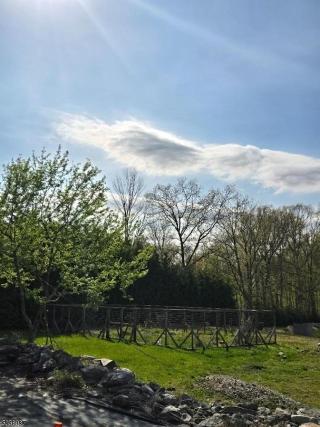 100 Old Mashipacong Rd, Montague Twp, NJ 07827 - view of yard