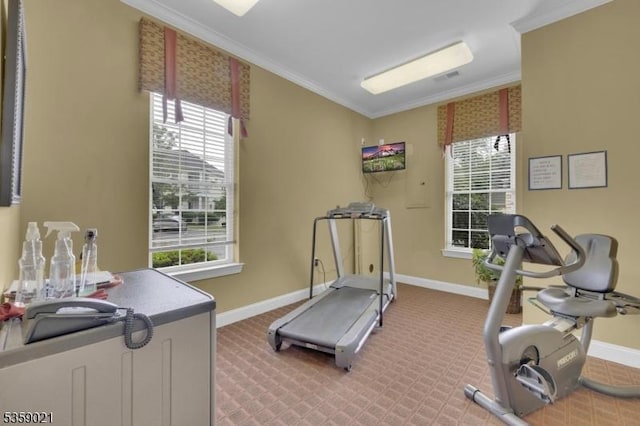 7013 Brookfield Glen Dr, White Twp, NJ 07823 - exercise room featuring ornamental molding, healthy amount of natural light, and carpet