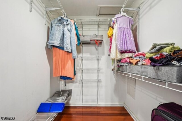 25 Manor Dr, Hillsborough Twp, NJ 08844 - walk in closet featuring wood finished floors and attic access