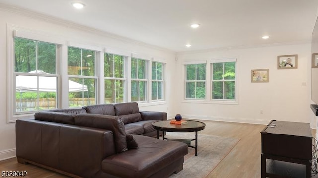 6 Balfour Ln, Scotch Plains Twp, NJ 07076 - living area with ornamental molding, baseboards, wood finished floors, and recessed lighting
