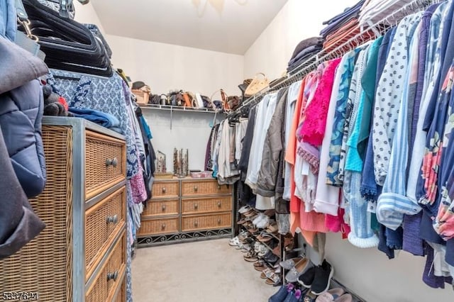 2307 Ambassador Ct Unit 2307, Franklin Twp, NJ 08873 - walk in closet featuring carpet flooring