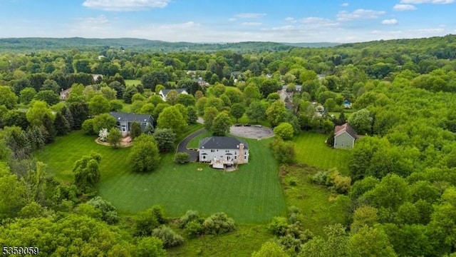 1 Fleming Rd, Tewksbury Twp, NJ 07830 - drone / aerial view of a forest