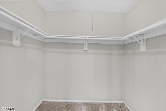 231 Sutphin Ln, Hillsborough Twp, NJ 08844 - spacious closet featuring carpet