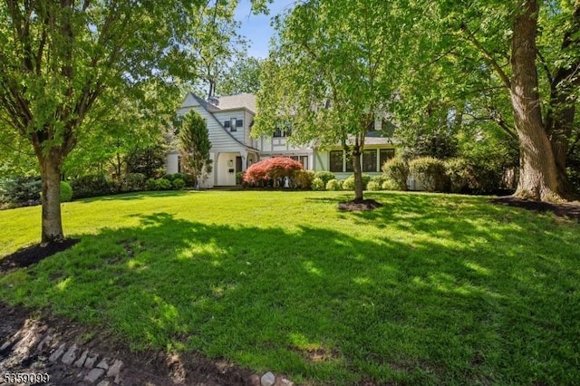 42 Haddonfield Rd, Millburn Twp, NJ 07078 - view of green lawn