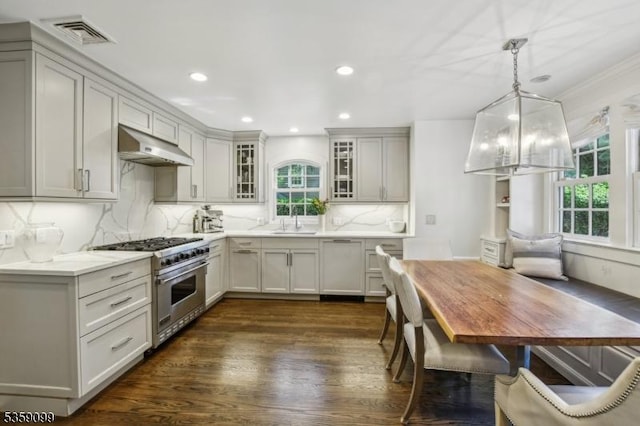 42 Haddonfield Rd, Millburn Twp, NJ 07078 - kitchen featuring under cabinet range hood, high end stove, a sink, plenty of natural light, and recessed lighting