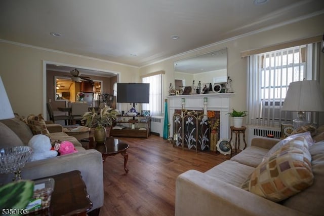 916 Sheridan Ave, Roselle Boro, NJ 07203 - living room featuring wood finished floors, radiator, crown molding, a premium fireplace, and ceiling fan
