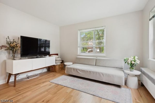 465 Maple Hill Dr Unit 51, Hackensack City, NJ 07601 - living area with radiator heating unit and wood finished floors