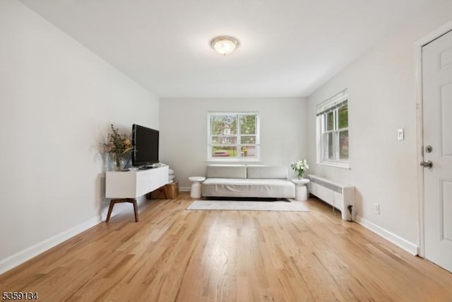 465 Maple Hill Dr Unit 51, Hackensack City, NJ 07601 - living area featuring radiator heating unit, wood finished floors, and baseboards