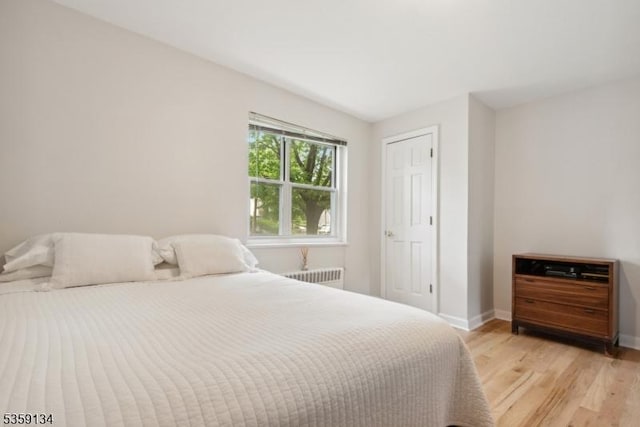 465 Maple Hill Dr Unit 51, Hackensack City, NJ 07601 - bedroom with light wood-style flooring, radiator heating unit, and baseboards
