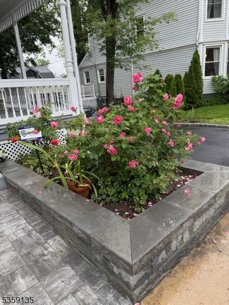 457 Academy St, South Orange Village Twp, NJ 07079 - view of yard