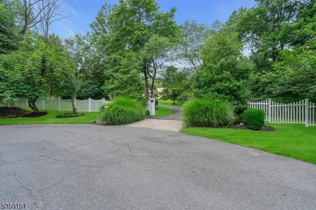 60 Dogwood Ln, Montgomery Twp, NJ 08558 - view of asphalt road