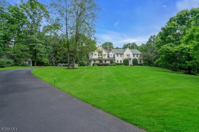 60 Dogwood Ln, Montgomery Twp, NJ 08558 - view of front of house with a front lawn and a chimney