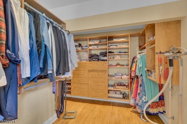 60 Dogwood Ln, Montgomery Twp, NJ 08558 - walk in closet with light wood finished floors
