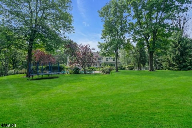 60 Dogwood Ln, Montgomery Twp, NJ 08558 - view of green lawn with a trampoline