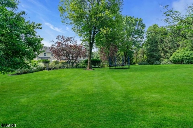 60 Dogwood Ln, Montgomery Twp, NJ 08558 - view of yard with a trampoline
