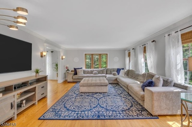 60 Dogwood Ln, Montgomery Twp, NJ 08558 - living area with crown molding and wood finished floors