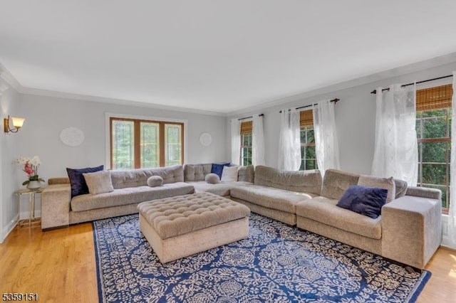 60 Dogwood Ln, Montgomery Twp, NJ 08558 - living room with healthy amount of natural light, light wood-style flooring, and ornamental molding