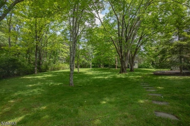 41 Lake Rd, Bernards Twp, NJ 07920 - view of grassy yard