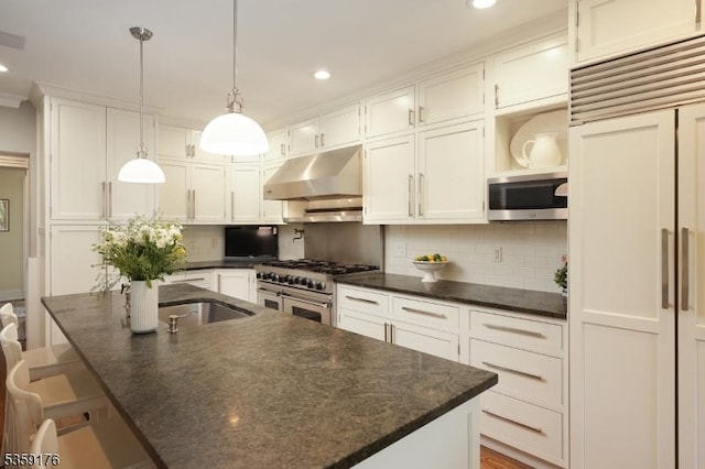 216 Kimball Ave, Westfield Town, NJ 07090 - kitchen with high quality appliances, under cabinet range hood, decorative backsplash, recessed lighting, and white cabinetry