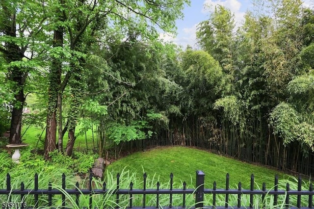 216 Kimball Ave, Westfield Town, NJ 07090 - view of yard