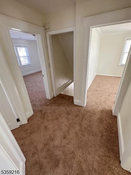 151 Sutton Ave, Totowa Boro, NJ 07512 - corridor with carpet and baseboards