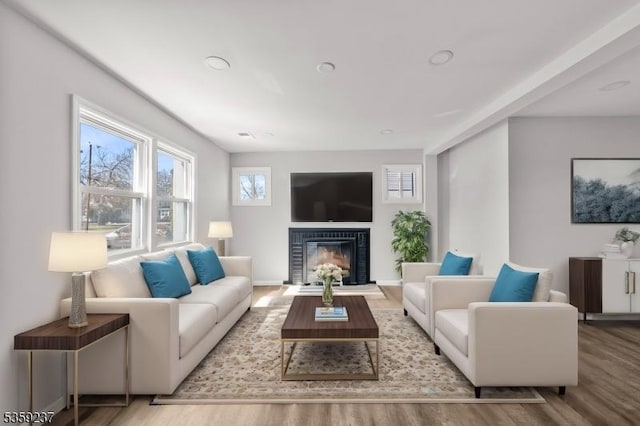 1071 Rose St, Plainfield City, NJ 07060 - living room with wood finished floors, a glass covered fireplace, and baseboards