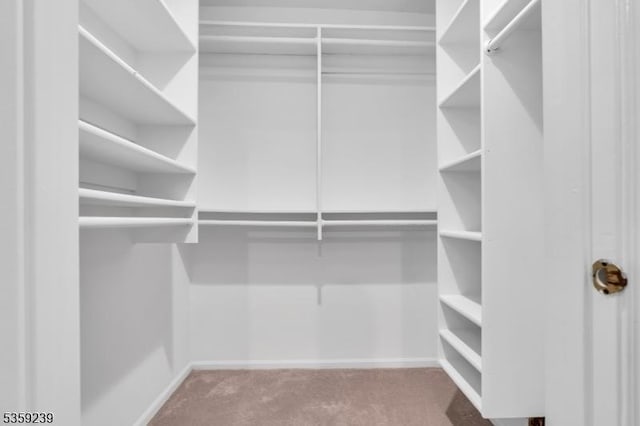 376 Finch Ln, Bedminster Twp, NJ 07921 - spacious closet with carpet floors