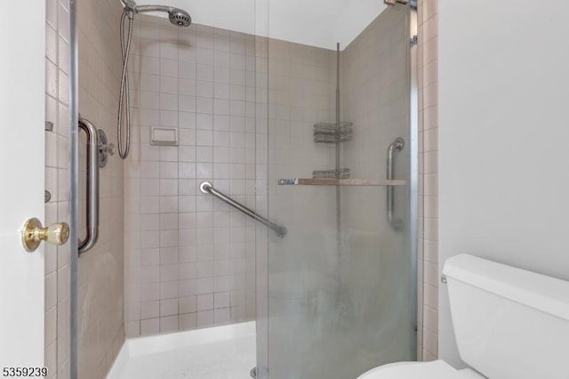 376 Finch Ln, Bedminster Twp, NJ 07921 - bathroom with toilet and a stall shower