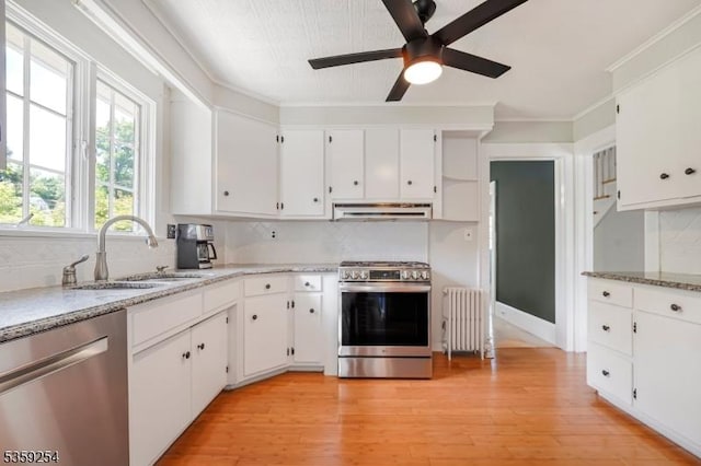 114 Hoagland Ave, Rockaway Boro, NJ 07866 - kitchen with appliances with stainless steel finishes, a sink, radiator, under cabinet range hood, and a ceiling fan