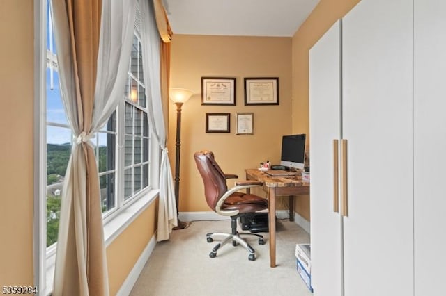 6406 Brookhaven Ct, Riverdale Boro, NJ 07457 - office space featuring carpet floors, healthy amount of natural light, and baseboards