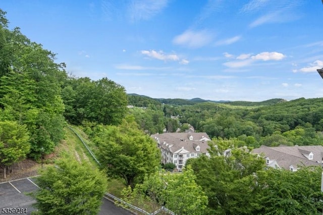6406 Brookhaven Ct, Riverdale Boro, NJ 07457 - bird's eye view of a forest