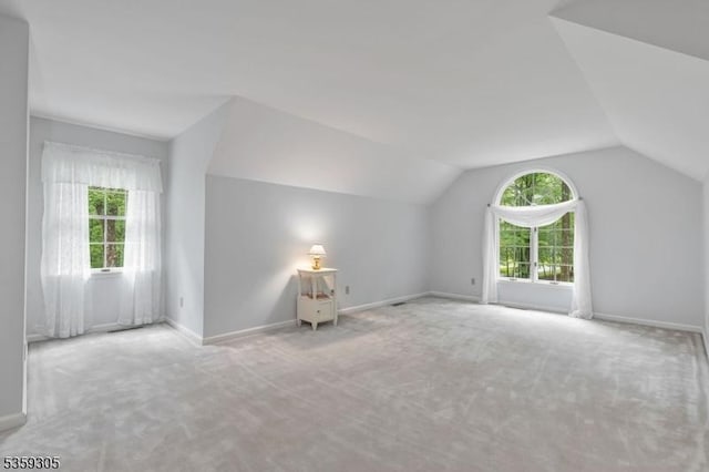 785 Backhus Estate Rd, Lebanon Twp, NJ 08826 - bonus room featuring carpet floors, lofted ceiling, and baseboards