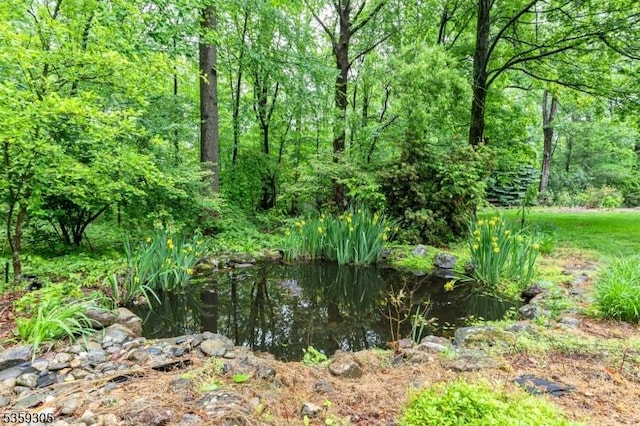 785 Backhus Estate Rd, Lebanon Twp, NJ 08826 - view of nature