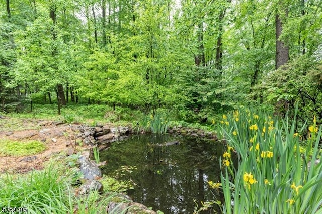 785 Backhus Estate Rd, Lebanon Twp, NJ 08826 - view of local wilderness