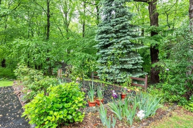 785 Backhus Estate Rd, Lebanon Twp, NJ 08826 - view of nature